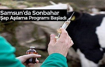 Samsun’da  Sonbahar Şap Aşılama Programı Başladı