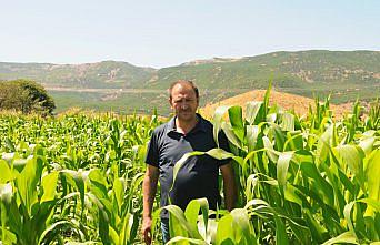 SÜTAŞ'ın sağmal inekleri Bingöl'deki çiftliklere getirildi