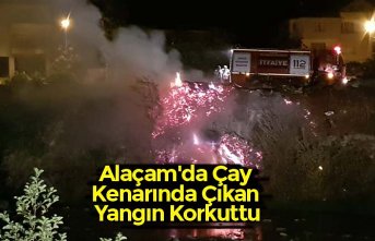 Alaçam'da Çay Kenarında Çıkan Yangın Korkuttu