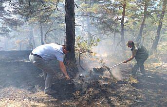 Amasya'da aynı yerde orman yangını çıktı, iki çoban gözaltına alındı