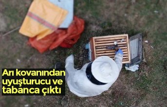 Arı kovanından uyuşturucu ve tabanca çıktı
