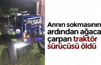 Arının sokmasının ardından ağaca çarpan traktör sürücüsü öldü