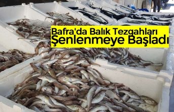 Bafra'da Balık Tezgahları Şenlenmeye Başladı