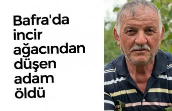 Bafra'da incir ağacından düşen adam öldü