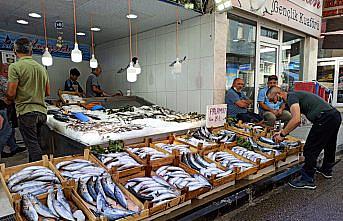 Bereketli geçen sezon balıkçıları mutlu ediyor