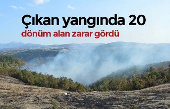 Çıkan yangında 20 dönüm alan zarar gördü