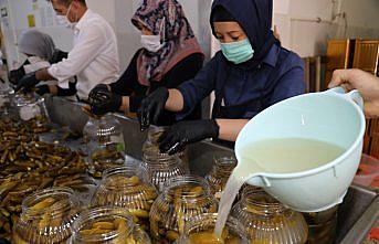 Çubuk'tan 81 ilde 81 okulla 