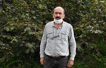 Fındık üreticileri, TMO'nun ardından serbest piyasada artan fiyatlardan memnun