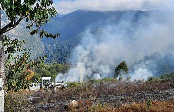 Kastamonu'da anız yangını ormanlık alana sıçramadan söndürüldü