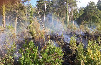 Kastamonu'da ormanlık alanda çıkan yangın büyümeden söndürüldü