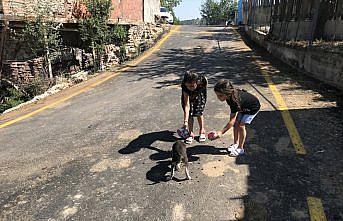 Kız kardeşler, bileklik satarak sokak hayvanlarına yiyecek alıyor