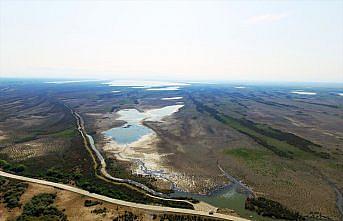 Kızılırmak Deltası'nda yağış azlığından kaynaklı kuraklık tehdidi