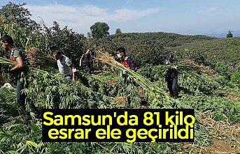 Samsun'da 81 kilo esrar ele geçirildi