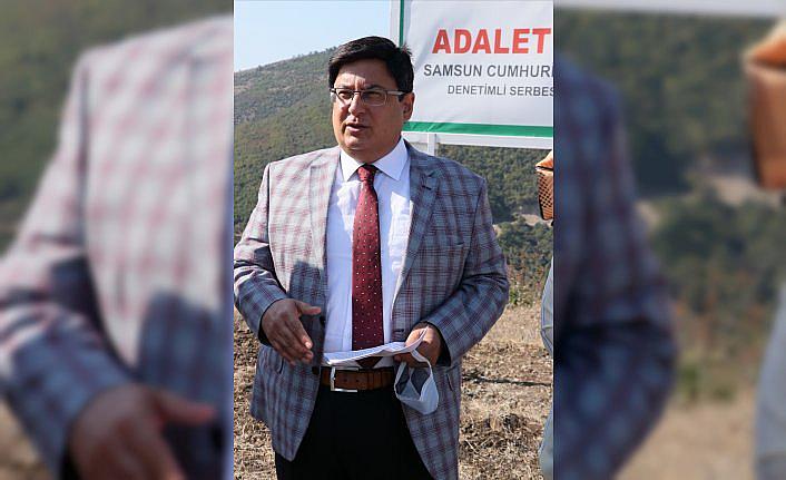 Samsun'da hükümlüler 465 bin metrekarelik alana fidan dikti