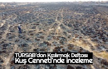 TÜRSAB'dan Kızılırmak Deltası Kuş Cenneti'nde inceleme