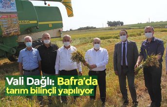 Vali Dağlı: Bafra’da tarım bilinçli yapılıyor