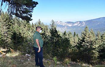 Vali Gürel, Keltepe Kayak Merkezinde incelemelerde bulundu