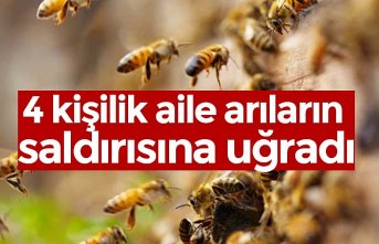 4 kişilik aile arıların saldırısına uğradı