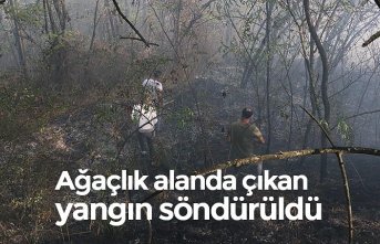 Ağaçlık alanda çıkan yangın söndürüldü