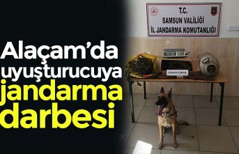 Alaçam’da uyuşturucuya jandarma darbesi