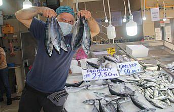 Avcılığı azalan palamudun tane fiyatı 27 liraya yükseldi