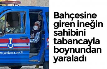 Bahçesine giren ineğin sahibini tabancayla boynundan yaraladı