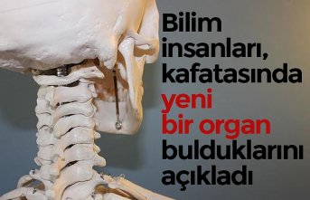 Bilim insanları, kafatasında yeni bir organ bulduklarını açıkladı