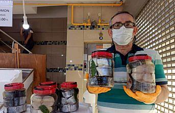 Bollaşan palamudun lakerdası erken yapıldı