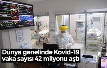 Dünya genelinde Kovid-19 vaka sayısı 42 milyonu aştı