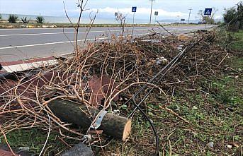 Düzce'de gece oluşan hortum evlerin çatısını uçurdu