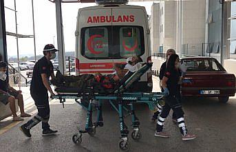 Düzce'de kestane toplarken uçuruma yuvarlanan kişi yaralandı