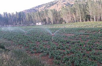 Gümüşhane'de suya kavuşan arazilerden ekonomiye 54 milyon liralık katkı