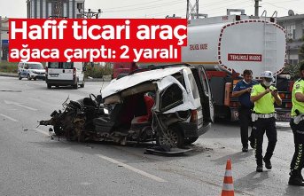 Hafif ticari araç ağaca çarptı: 2 yaralı