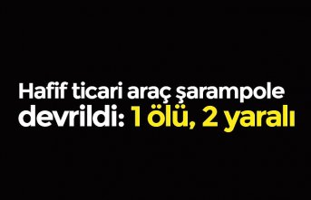 Hafif ticari araç şarampole devrildi: 1 ölü, 2 yaralı