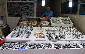 Karadeniz'de ağlara takılmaya başlayan hamsi balıkçıları umutlandırdı