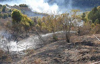 Kastamonu'da yangında 2 hektar ormanlık alan zarar gördü
