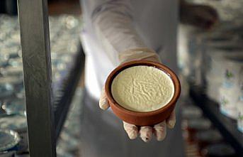 Manda besiciliği köyün gelir kaynağı oldu