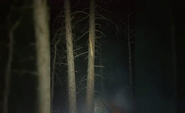 Mudurnu'da düşen yıldırım orman yangınına neden oldu