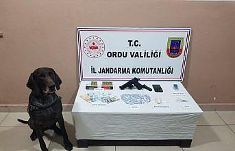 Ordu'da uyuşturucu operasyonunda iki kişi yakalandı