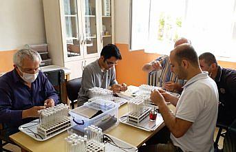 Ormanları avcı böcekler koruyacak