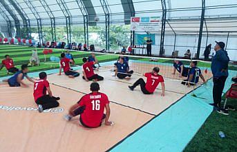 Oturarak voleybolda dostluk maçı