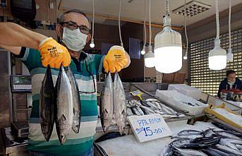 Palamut fiyatlarında 