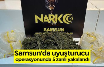 Samsun'da uyuşturucu operasyonunda 5 zanlı yakalandı