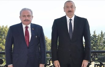 TBMM Başkanı Şentop, Azerbaycan Cumhurbaşkanı Aliyev ile görüştü
