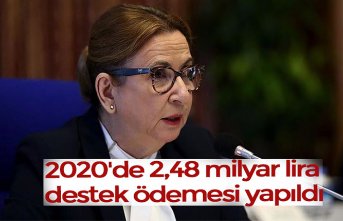 2020'de 2,48 milyar lira destek ödemesi yapıldı