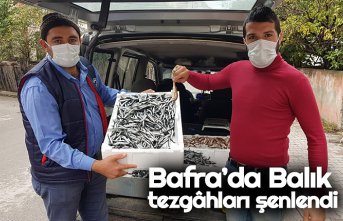 Bafra’da Balık tezgâhları şenlendi