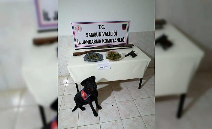 Bafra'da jandarmadan uyuşturucu ve silah operasyonu