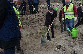 Boyabat'ta fidanlar toprakla buluşturuldu