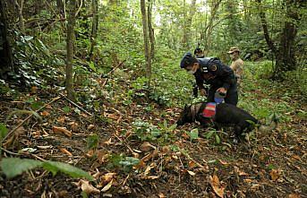 Kastamonu'da kayıp kadını arama çalışmaları sürüyor