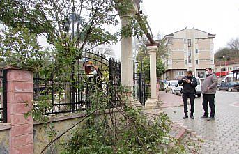 Kavak'ta MOBESE kamera görüntüsünü engelleyen ağaçlar budanıyor